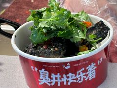 -黑色经典臭豆腐·湖南特产(步行街店)