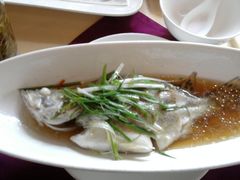 照片1450-十八棵（老龙井）御茶园(老龙井店)