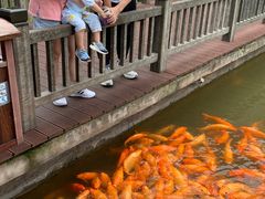 -枫香湖儿童公园