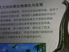 -中国第四纪冰川遗迹陈列馆