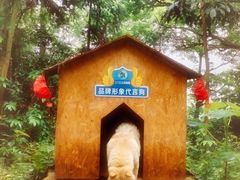 -三门江国家森林公园
