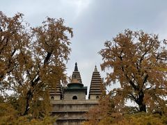 -北京石刻艺术博物馆(五塔寺)
