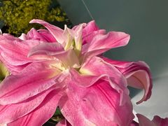 -南堂馆·新川菜(春熙路店)