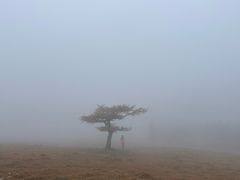 -芦芽山旅游度假区