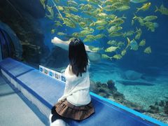-福州罗源湾海洋世界旅游区