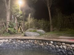 -中铁花水湾温泉酒店(大邑店)