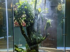 -泰悠谷养生SPA(世茂商业街店)