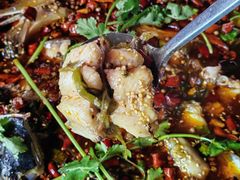 -辣不怕口味虾(凌霄路店)