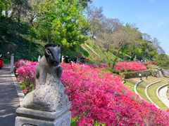 -老门东历史文化街区