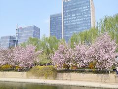 -元大都城垣遗址公园