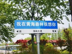 -东台黄海森林公园