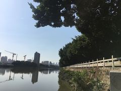 -光明港公园