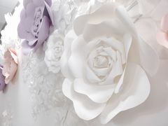 -四季美学色彩形象管理服装搭配