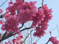 -仙岳公园