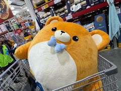 -山姆会员商店(亦庄创意生活广场店)