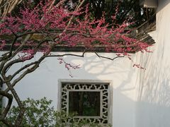-杭州植物园