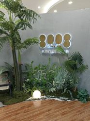 点击看大图 -八佰伴8008星级形象店