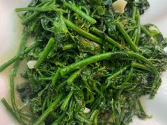 -翡翠老鸭店