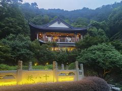 -十八棵（老龙井）御茶园(老龙井店)