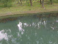 -长春公园(普阳街道)