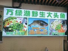 -岭下农庄·农家菜·野生大头鱼·公司团建(福永凤凰山店)