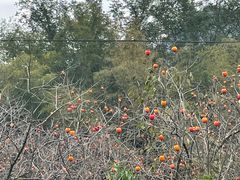 -楠溪江风景名胜区