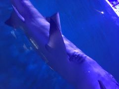 -白鹿仓冰雪海洋世界