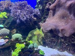 -珠海长隆海洋王国
