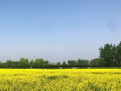 -汉长安城未央宫国家考古遗址公园