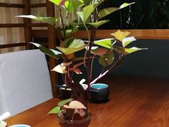 -十二舍·湯物素煮(江泰潤政店)
