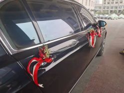 -蚂蚁婚车