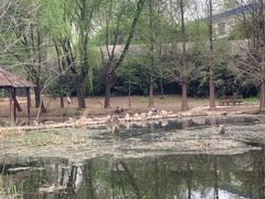 -石家庄市动物园