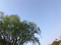 -东方绿舟景区