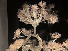 -大桶大足浴(田林路店)