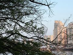 -江心屿景区