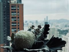 -君悦酒店·大堂酒吧·高空下午茶·暮色微醺