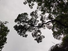 -白云山索道-售票处