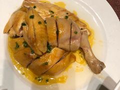 特色葱油鸡-东方明珠老上海8号餐厅(东方明珠广播电视塔店)