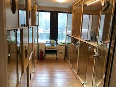 -Pets First伊珊娜洗护·精致美容·家庭式寄养(新会路店)