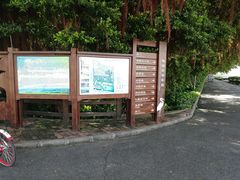 -大湾区中央湿地公园