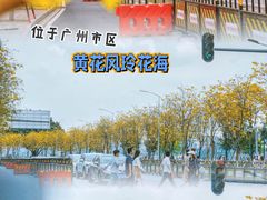 -洲头咀公园
