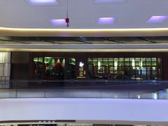 -蝶园·装修中(BFC外滩金融中心店)