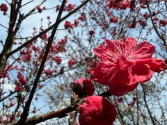 -婺源月亮湾