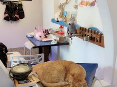 -海洋20M海景咖啡馆