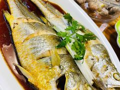 油泼黄花鱼-鲜小岛·铜锅涮肉