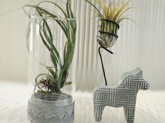 -云溪植物园