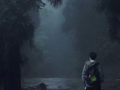 -武陵山森林公园