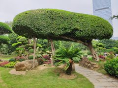 -南宁南湖公园