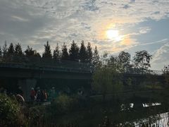 -白鹭湾湿地公园