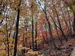 -五女峰国家森林公园